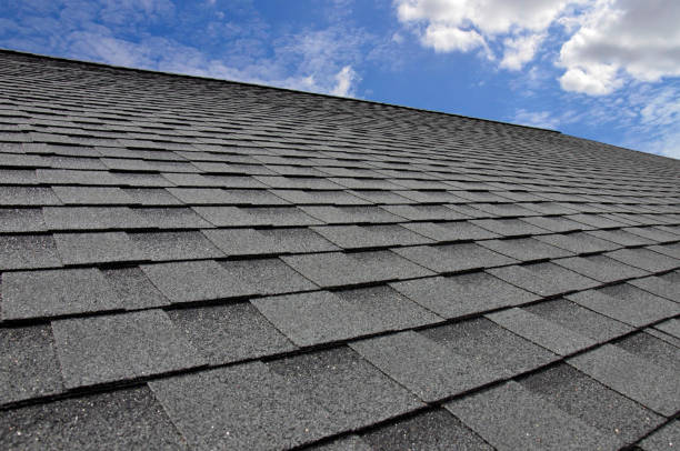 Best Solar Panel Roofing Installation  in Winslow, AZ